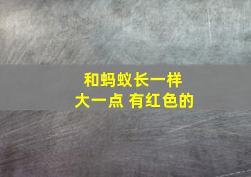 和蚂蚁长一样 大一点 有红色的